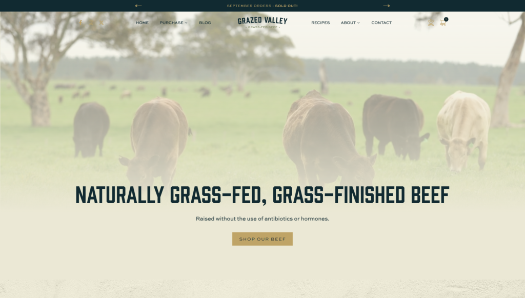 grazed-valley-beef