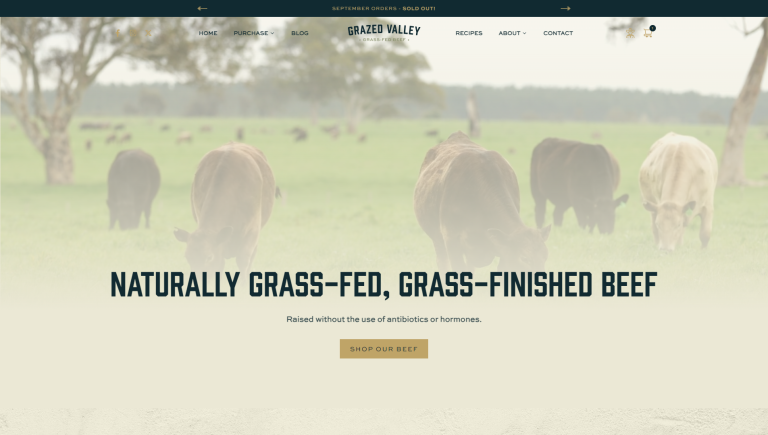 grazed-valley-beef