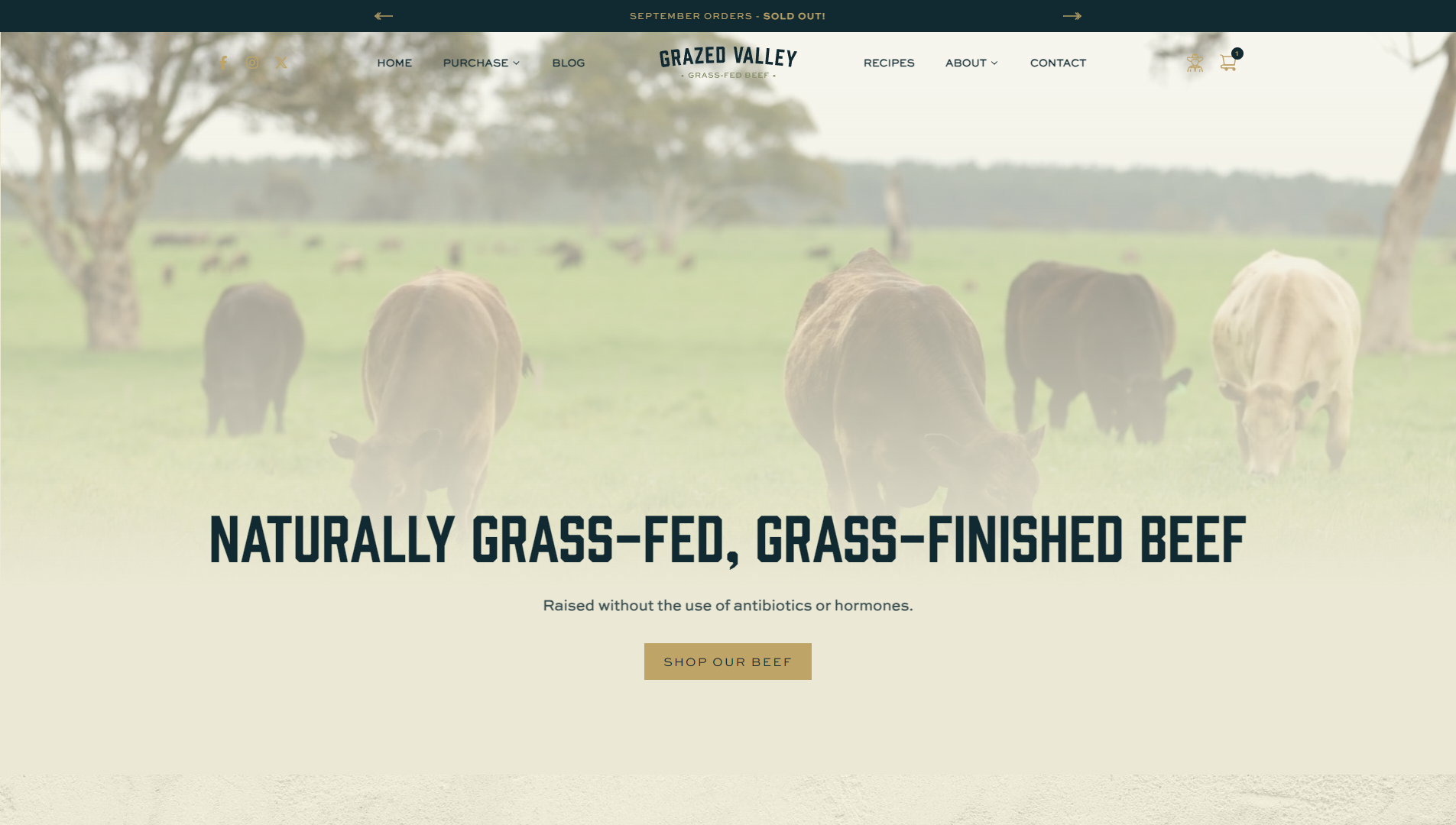 grazed-valley-beef